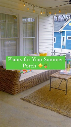 52K views · 221 reactions | Want to spruce up your porch? Here’s what to plant (+ where!) ⬇️ Best plants for low light (like by your front door): 1. Begonias 2. Goldilocks Creeping Jenny 3. Concord Blue Trailing Streptocarpella Best varieties for full sun (like your front steps): 1. Yellow African Daisy 2. Jagger Phlox Happy planting! 華 #HGTVOutdoors | HGTV | Facebook
