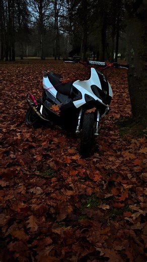 Building a Winter-Ready 70cc Gilerarunner MK2