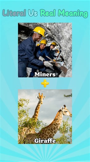 Literal vs Real Meaning of English Compound Words | Part 65