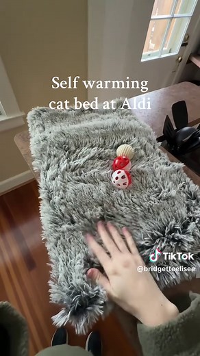 Self-Warming Cat Bed at ALDI: A Cozy Solution