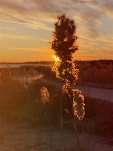 Sunset Beach #CapCut #template #original @CapCut