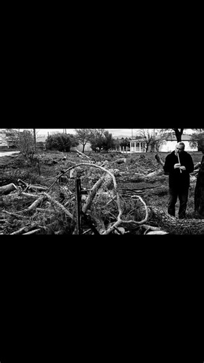 ΘΡΗΝΟΣ Τα κομμένα δέντρα στον Έβρενο Ροδόπης Χρήστος Χατζόπουλος