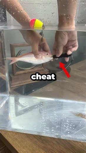 This Gadget Lets Fisherman Cheat!