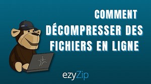 Comment Décompresser Des Fichiers En Ligne (Guide étape par étape)
