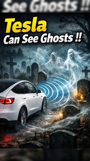 Can Tesla See Ghosts?😨 Why Tesla Vision Detects People Where No One Exists | Tesla Cemetry Ghost