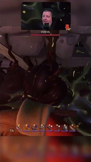 Why Are Ladybird Larvae Falling From the Sky?