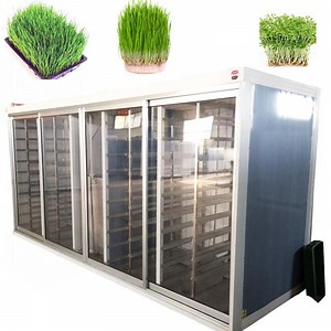 [Hot Item] High Efficiency Automatic 500kg\Day Seed Germinator Machine Price