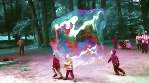 166K views · 3.8K reactions | “The pursuit of truth and beauty is a sphere of activity in which we are permitted to remain children all our lives.” - Einstein | Bassnectar | Facebook