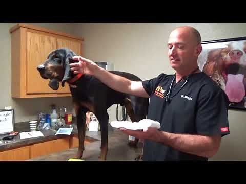 10 Abdominal Bandage