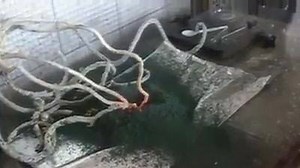 43K views · 333 reactions | Amazing Burning :) | Crazy Memes | Facebook