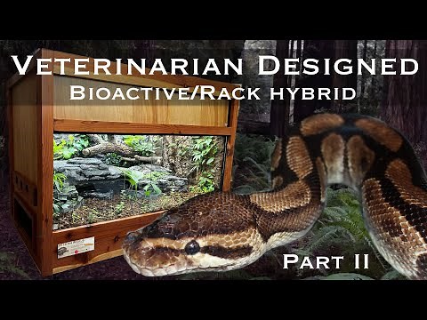 Bioactive Ball Python Vivarium/Tub Hybrid Enclosure (Part II)