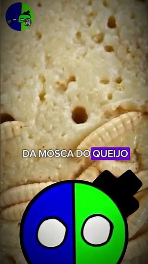 How is Larva Cheese Made? (Warning: Graphic Images) #casumarzu