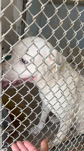 Martin Miller on Reels