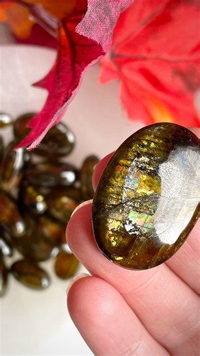 Sage Crystals on Instagram: "✨ Grounded. Strong. Unshakable. ✨ Meet Siderite, the crystal of earth energy and inner transformation. 🌍💎 With its warm bronze and golden tones, this iron-rich stone anchors your spirit while igniting motivation and confidence from within. Connected to the #RootChakra and #SolarPlexus Chakras, #Siderite transforms stagnation into steady momentum 🛼 helping you move forward with purpose while staying grounded in your truth. It’s the perfect ally