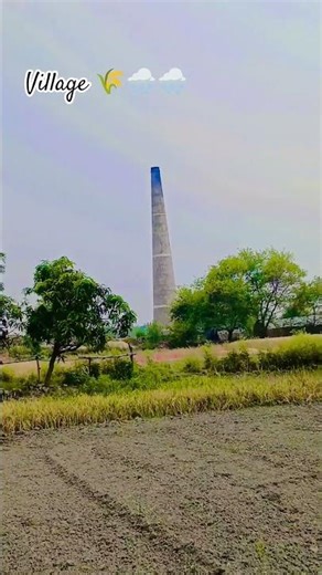 #hindisong #love #nature #🌾🌾🌾🌾💚💚💚🌨️🌨️🌨️