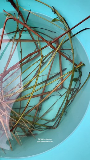 Exploring the Textile Process: From Fibers to Yarn to End Product