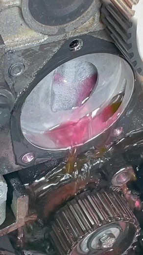 Car Engine Maintenance: A Step-by-Step Guide