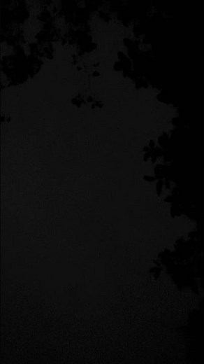 Trumpet - All blues by Miles Davis - complete