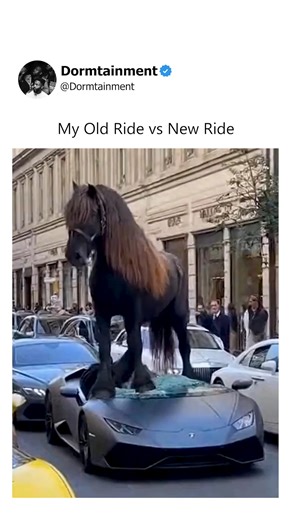 Now that is one costly crash out | Dormtainment