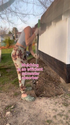 FREE Plants Saved My Shed 🌧️ Simple Garden Hack to Stop Rot!