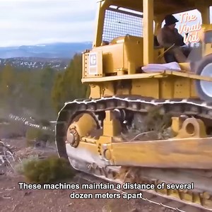 8.1K views · 95 reactions | How to clear a large area of ​​bushes? #lumber #machinery #EngineeringMarvels | The Viral Vid | Facebook