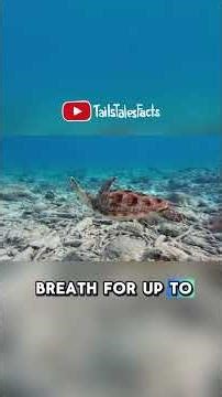 Ancient Survivors of the Earth 🌍🐢