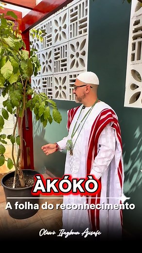 #ifa #ewe #awo #orisas | Oluwo Ifagboun Ajisafe
