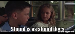 Forrest Gump Stupid Is As Stupid Does on Make a GIF