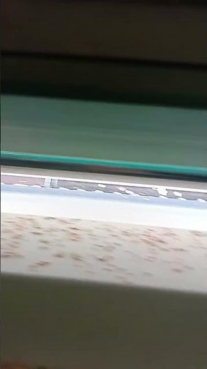 👉masur ki 💯💯🔥 daal 💀😈👍