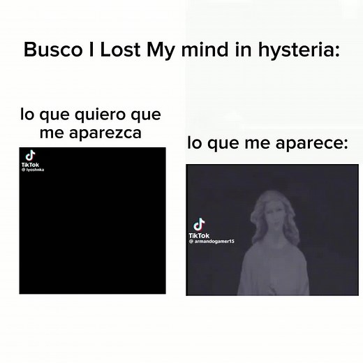 Lost My Mind in Hysteria Cat Meme Parody