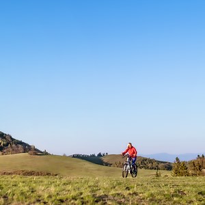 10 beliebte E-Trekkingbikes für Damen und Herren im Test