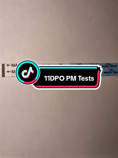 Understanding 11DPO PM Tests for Fertility Awareness
