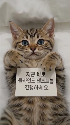 허리 편한 침대 매트리스 추천, 고르는 방법 #슬립시티 #매트리스추천 #신혼침대 #체험형매장 #블라인드테스트