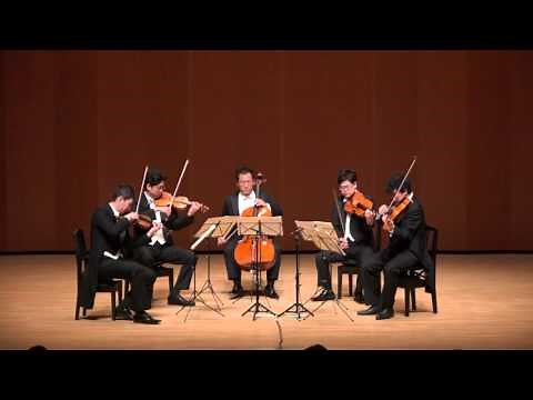 ブラームス 弦楽五重奏曲 第2番 ト長調 Op.111（第1楽章）/ Brahms StringQuintet2-1 (Fix version)