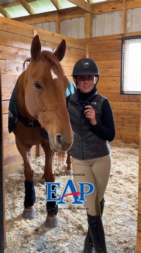 We asked a few MZ Farms LLC/USHJA Emerging Athletes Program National Training Session participants what their favorite horse fact was!📣 Hear what they have to say and drop your favorite fact in the comments. | United States Hunter Jumper Association - USHJA