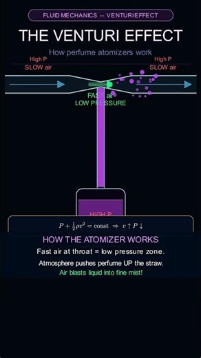 How Perfume atomizer Works : Ventury Effect #fluidmechanics #chemicalengineering #engineeringshorts