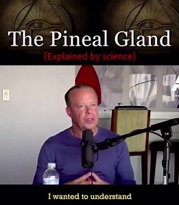 Unencrypted Universe on Reels