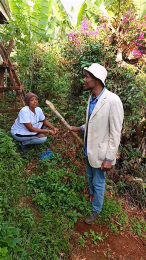 Good morning wacege na kaguka😅 | Sp Chege Official