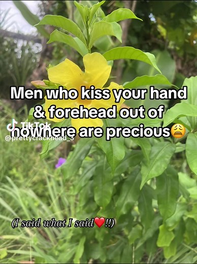 Appreciating Forehead Kisses: A Tender Gesture Explained