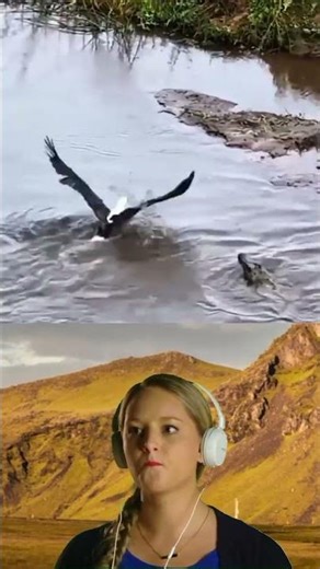 The albatross snatched the food from the crocodile's mouth, making me break out in a cold sweat