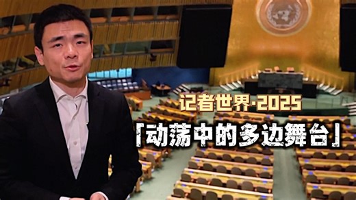 【记者世界·2025】动荡中的多边舞台