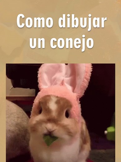 Cómo DIBUJAR un CONEJO - Tutorial de Dibujo de un Conejito