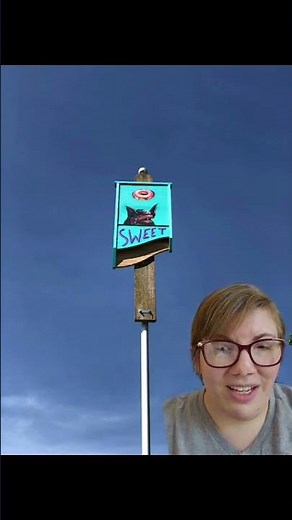 Bat House Placement Tips