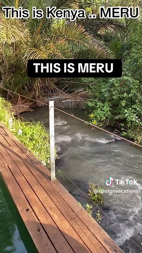 Experience the Unusual Luxury of Rhino River Camp in Meru National Park