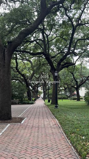 A year of moments, memories and Savannah magic ✨ Thank you for being part of our 2025. We’ll see you in 2026 ❤️ | Visit Savannah