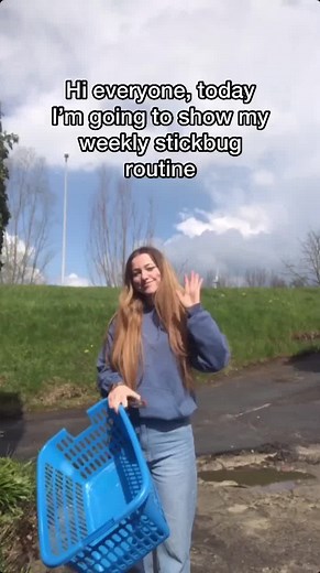 Stickbug Care Routine and How to Fight Stick Bug