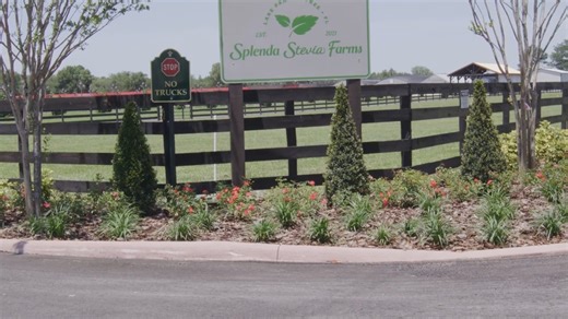 3.9K views · 21 reactions | Join Chip Carter as he takes an in depth...