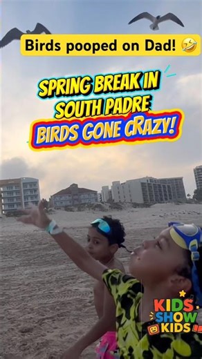Kids Show Kids - Seagulls Go Crazy at South Padre Island and pooped on Dad!