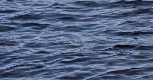 Kill Devil Hills boater who left Oregon Inlet with dog found dead offshore