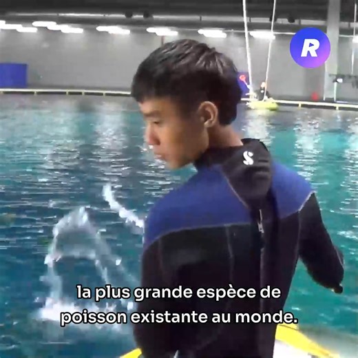 Pour abriter les immenses requins baleines, les Chinois ont construit le plus grand aquarium du monde pour 5 milliards € | Real Life